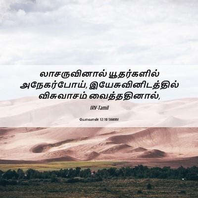 Picture 06 - யோவான் 12:10 TAMIRV - லாசருவினால் - Bible Verse Picture