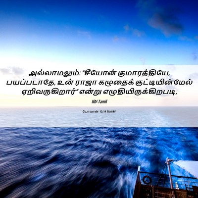 Picture 06 - யோவான் 12:14 TAMIRV - அல்லாமலும்: - Bible Verse Picture