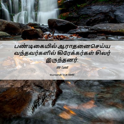 Picture 06 - யோவான் 12:20 TAMIRV - பண்டிகையில் - Bible Verse Picture