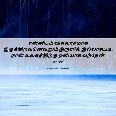 Picture 06 - யோவான் 12:46 TAMIRV - என்னிடம் - Bible Verse Picture