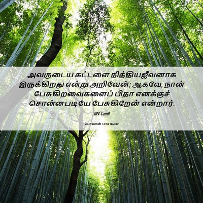 Picture 06 - யோவான் 12:50 TAMIRV - அவருடைய கட்டளை - Bible Verse Picture