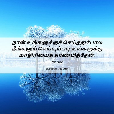 Picture 06 - யோவான் 13:15 TAMIRV - நான் உங்களுக்குச் - Bible Verse Picture