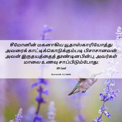 Picture 06 - யோவான் 13:2 TAMIRV - சீமோனின் மகனாகிய - Bible Verse Picture