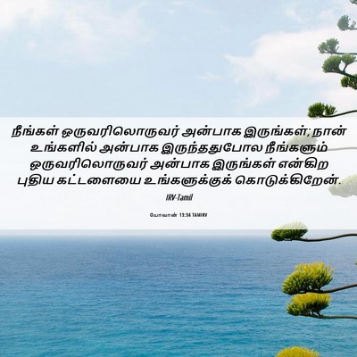 Picture 06 - யோவான் 13:34 TAMIRV - நீங்கள் - Bible Verse Picture