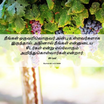 Picture 06 - யோவான் 13:35 TAMIRV - நீங்கள் - Bible Verse Picture