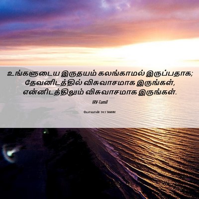 Picture 06 - யோவான் 14:1 TAMIRV - உங்களுடைய இருதயம் - Bible Verse Picture