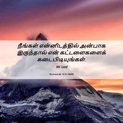 Picture 06 - யோவான் 14:15 TAMIRV - நீங்கள் - Bible Verse Picture