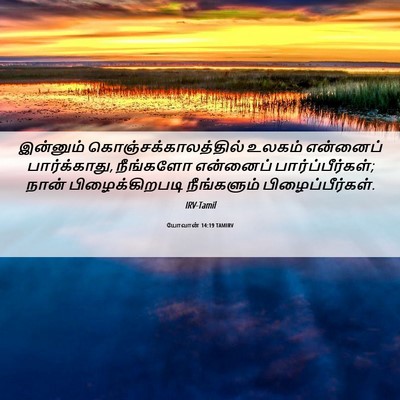 Picture 06 - யோவான் 14:19 TAMIRV - இன்னும் - Bible Verse Picture