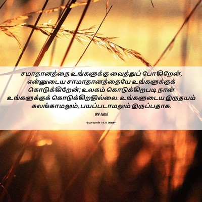 Picture 06 - யோவான் 14:27 TAMIRV - சமாதானத்தை - Bible Verse Picture
