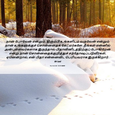 Picture 06 - யோவான் 14:28 TAMIRV - நான் போவேன் - Bible Verse Picture