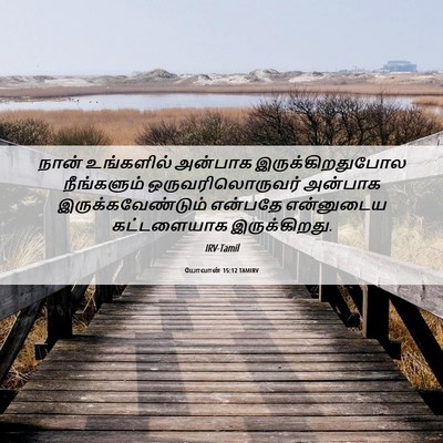 Picture 06 - யோவான் 15:12 TAMIRV - நான் உங்களில் - Bible Verse Picture