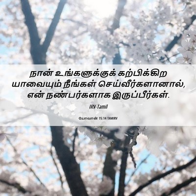 Picture 06 - யோவான் 15:14 TAMIRV - நான் உங்களுக்குக் - Bible Verse Picture