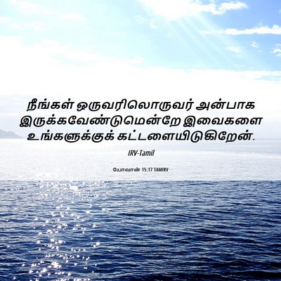 Picture 06 - யோவான் 15:17 TAMIRV - நீங்கள் - Bible Verse Picture