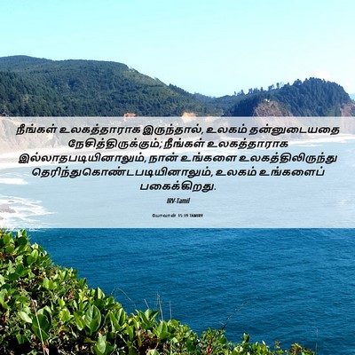 Picture 06 - யோவான் 15:19 TAMIRV - நீங்கள் - Bible Verse Picture