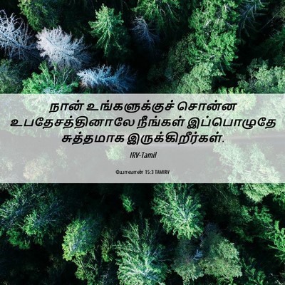 Picture 06 - யோவான் 15:3 TAMIRV - நான் உங்களுக்குச் - Bible Verse Picture