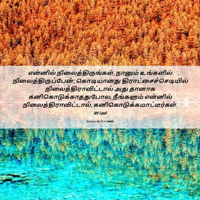 Picture 06 - யோவான் 15:4 TAMIRV - என்னில் - Bible Verse Picture