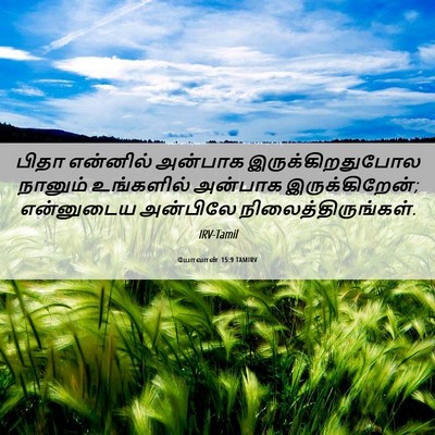 Picture 06 - யோவான் 15:9 TAMIRV - பிதா என்னில் - Bible Verse Picture