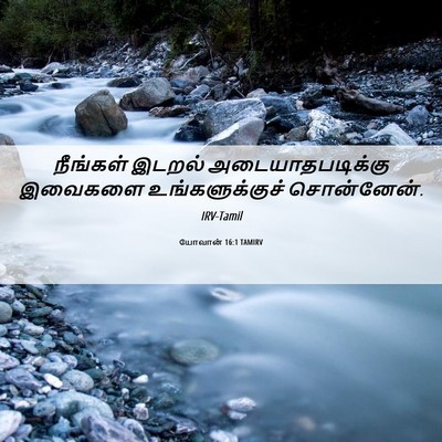 Picture 06 - யோவான் 16:1 TAMIRV - நீங்கள் இடறல் - Bible Verse Picture