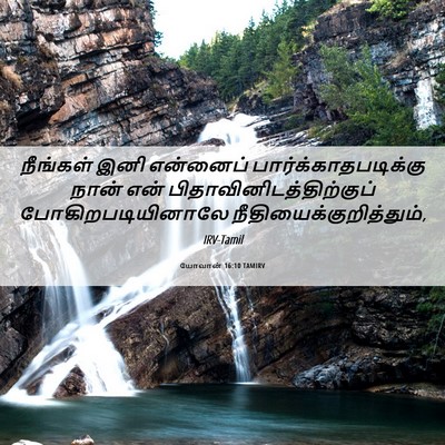 Picture 06 - யோவான் 16:10 TAMIRV - நீங்கள் இனி - Bible Verse Picture