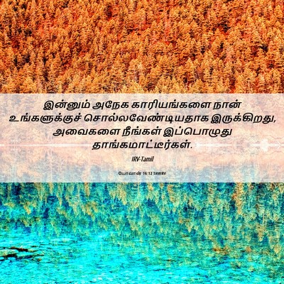 Picture 06 - யோவான் 16:12 TAMIRV - இன்னும் அநேக - Bible Verse Picture