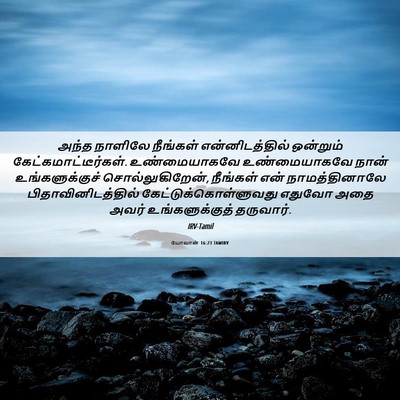 Picture 06 - யோவான் 16:23 TAMIRV - அந்த நாளிலே - Bible Verse Picture