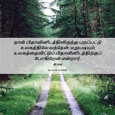 Picture 06 - யோவான் 16:28 TAMIRV - நான் - Bible Verse Picture