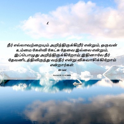 Picture 06 - யோவான் 16:30 TAMIRV - நீர் - Bible Verse Picture
