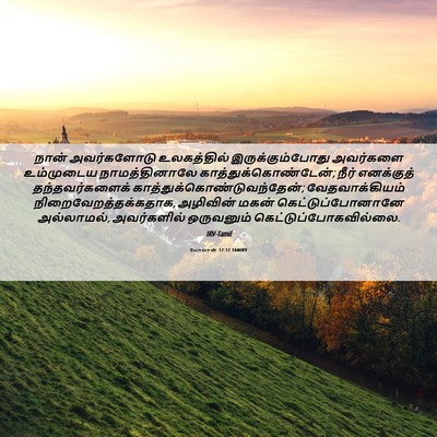 Picture 06 - யோவான் 17:12 TAMIRV - நான் அவர்களோடு - Bible Verse Picture