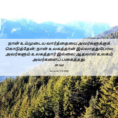 Picture 06 - யோவான் 17:14 TAMIRV - நான் உம்முடைய - Bible Verse Picture