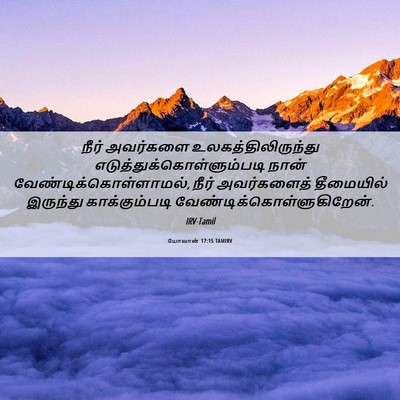 Picture 06 - யோவான் 17:15 TAMIRV - நீர் அவர்களை - Bible Verse Picture
