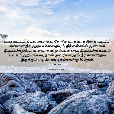 Picture 06 - யோவான் 17:23 TAMIRV - ஒருமைப்பாட்டில் - Bible Verse Picture