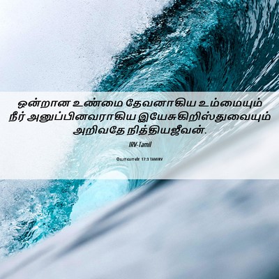 Picture 06 - யோவான் 17:3 TAMIRV - ஒன்றான உண்மை - Bible Verse Picture