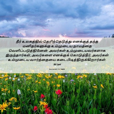 Picture 06 - யோவான் 17:6 TAMIRV - நீர் உலகத்தில் - Bible Verse Picture