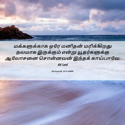 Picture 06 - யோவான் 18:14 TAMIRV - மக்களுக்காக ஒரே - Bible Verse Picture