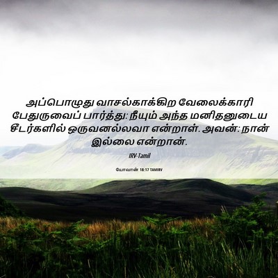 Picture 06 - யோவான் 18:17 TAMIRV - அப்பொழுது - Bible Verse Picture