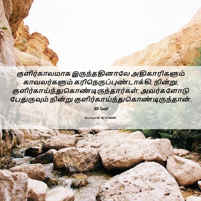 Picture 06 - யோவான் 18:18 TAMIRV - குளிர்காலமாக - Bible Verse Picture