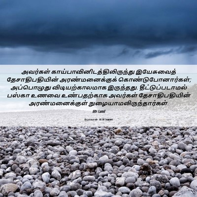 Picture 06 - யோவான் 18:28 TAMIRV - அவர்கள் - Bible Verse Picture