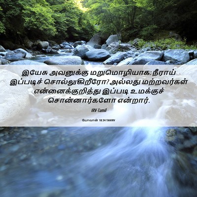 Picture 06 - யோவான் 18:34 TAMIRV - இயேசு அவனுக்கு - Bible Verse Picture