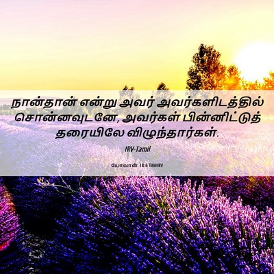 Picture 06 - யோவான் 18:6 TAMIRV - நான்தான் என்று - Bible Verse Picture