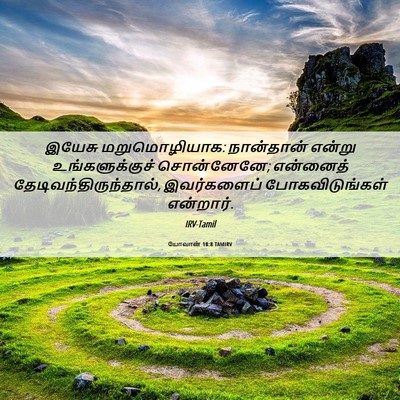 Picture 06 - யோவான் 18:8 TAMIRV - இயேசு மறுமொழியாக: - Bible Verse Picture