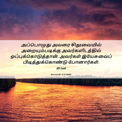 Picture 06 - யோவான் 19:16 TAMIRV - அப்பொழுது அவரை - Bible Verse Picture