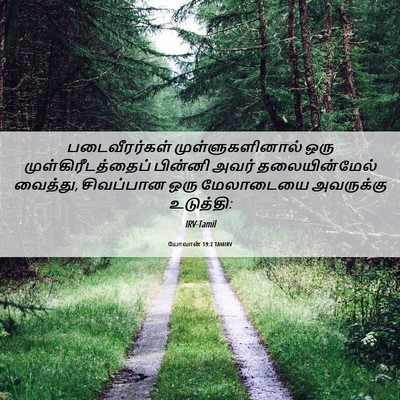 Picture 06 - யோவான் 19:2 TAMIRV - படைவீரர்கள் - Bible Verse Picture