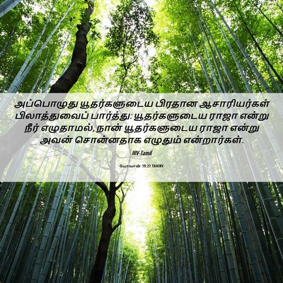 Picture 06 - யோவான் 19:21 TAMIRV - அப்பொழுது - Bible Verse Picture