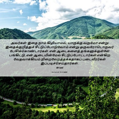 Picture 06 - யோவான் 19:24 TAMIRV - அவர்கள்: இதை நாம் - Bible Verse Picture