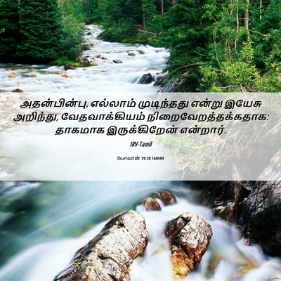Picture 06 - யோவான் 19:28 TAMIRV - அதன்பின்பு, - Bible Verse Picture