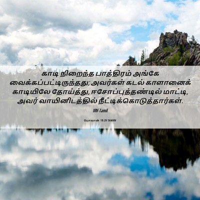 Picture 06 - யோவான் 19:29 TAMIRV - காடி நிறைந்த - Bible Verse Picture