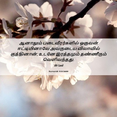 Picture 06 - யோவான் 19:34 TAMIRV - ஆனாலும் - Bible Verse Picture