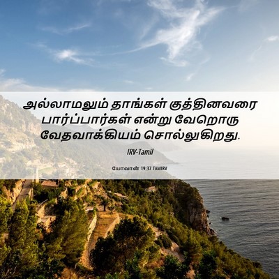 Picture 06 - யோவான் 19:37 TAMIRV - அல்லாமலும் - Bible Verse Picture