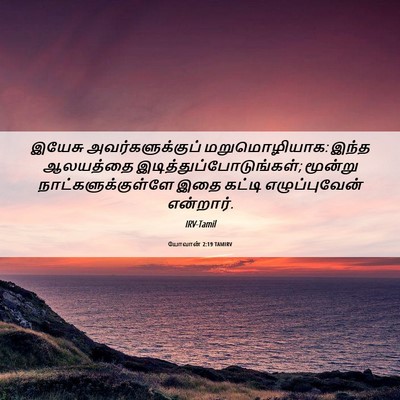 Picture 06 - யோவான் 2:19 TAMIRV - இயேசு - Bible Verse Picture