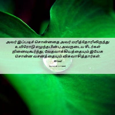 Picture 06 - யோவான் 2:22 TAMIRV - அவர் இப்படிச் - Bible Verse Picture